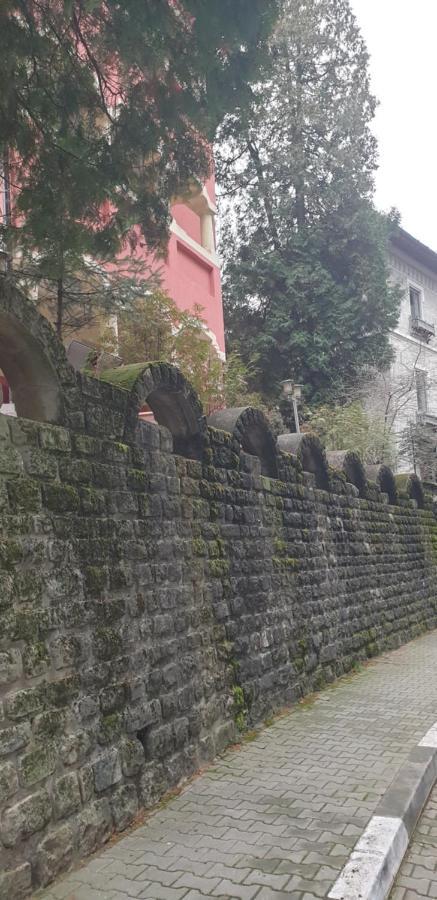 Hotel Casa Rosa Băile Olăneşti Zewnętrze zdjęcie