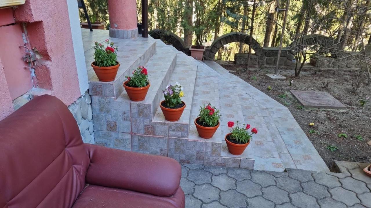 Hotel Casa Rosa Băile Olăneşti Zewnętrze zdjęcie