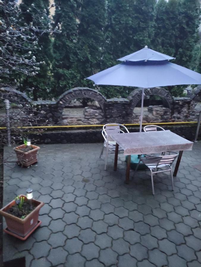 Hotel Casa Rosa Băile Olăneşti Zewnętrze zdjęcie